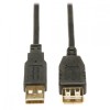 Tripp Lite U024-010 Cable USB 2.0 A Macho - USB 2.0 A Hembra, 3.05 Metros, Negro