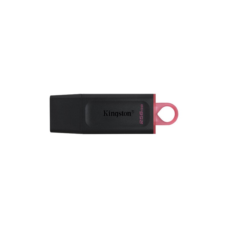 Memoria USB Kingston DTX/256GB