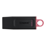 Memoria USB Kingston DTX/256GB