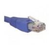 Cable Patch Cat5E Solutions Nexxt NEXXT