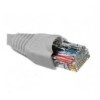 Cable De Red 798302030671 Nexxt NEXXT