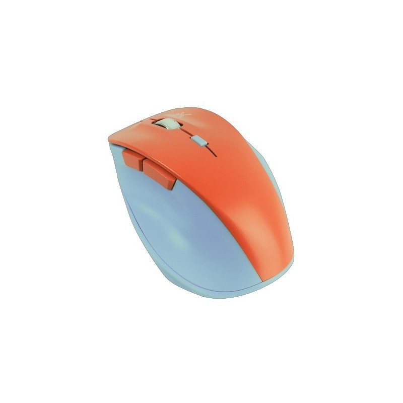 Mouse Perfect Choice PC-045120 Oasify