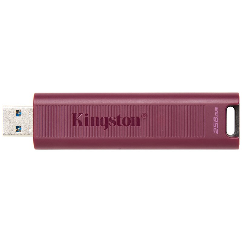 Memoria USB Kingston DTMAXA/256GB Oasify