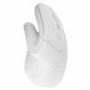 Mouse Ergonomico Perfect Choice optico Snouse, Inalambrico, Usb, 3200dpi, Blanco 